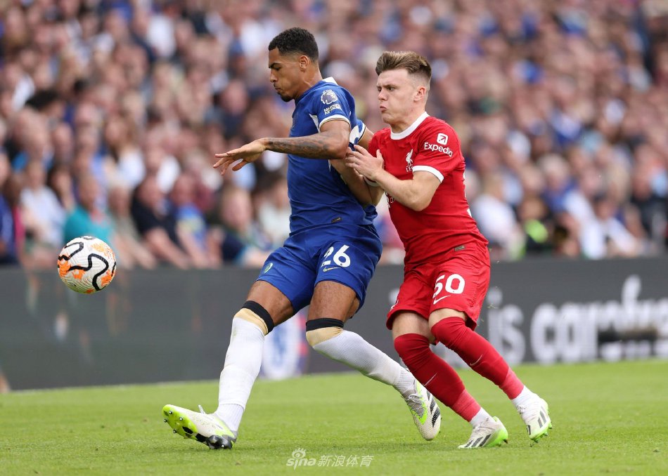 赛事的热情 赛事的热情